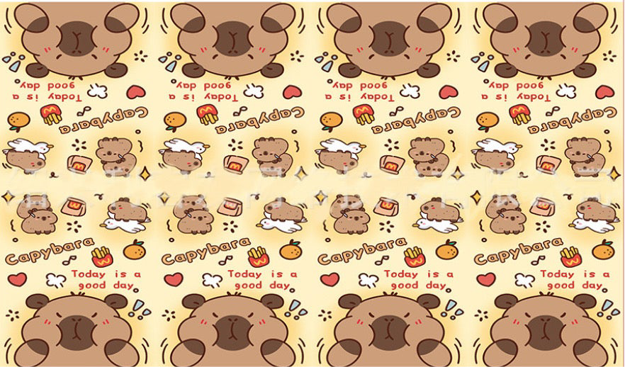 Capybara Birthday party decorations set