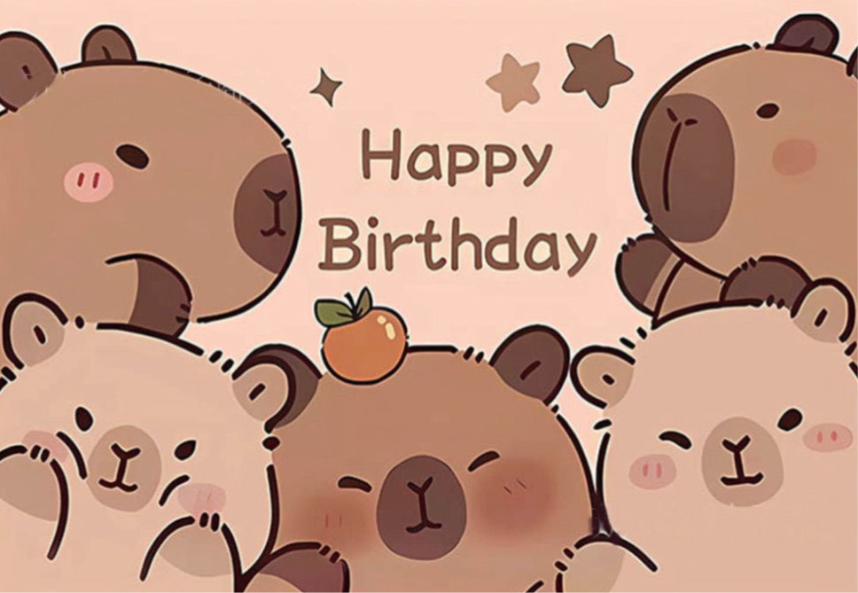 Capybara Birthday party decorations set