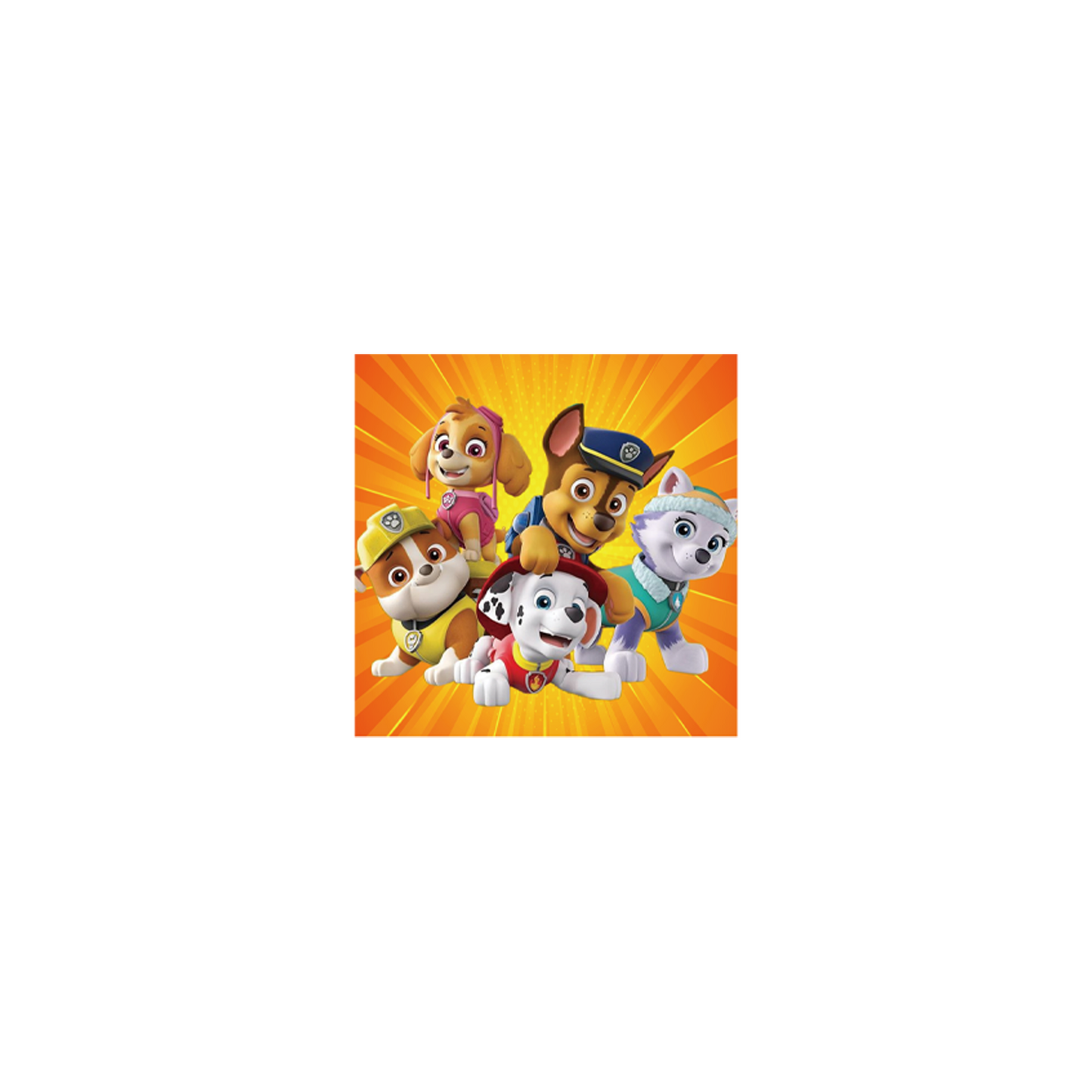 Paw Patrol birthday party decorations and tableware for kids.