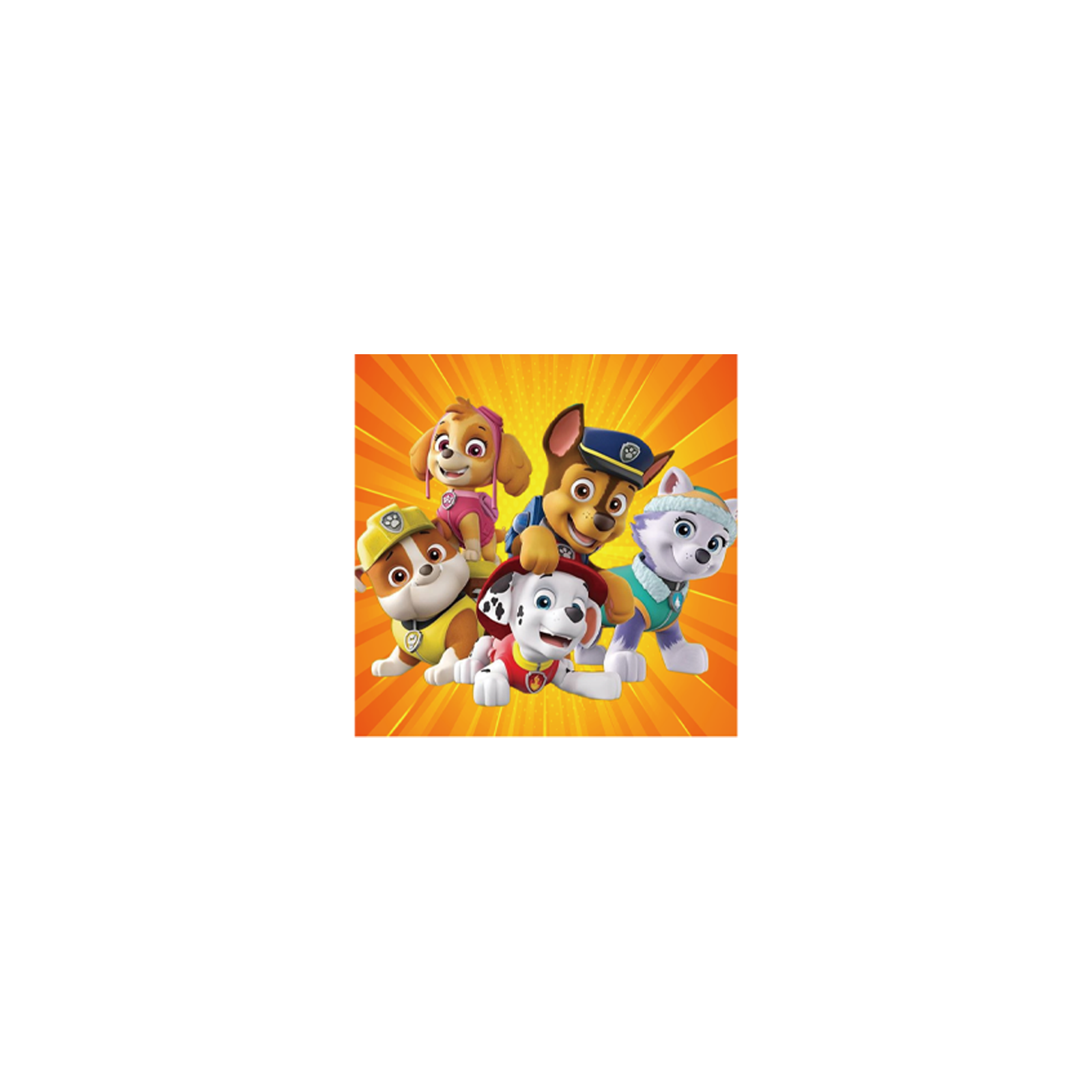 Paw Patrol birthday party decorations and tableware for kids.